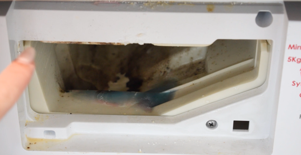 How To Clean Your Mouldy Washing Machine (& Make It Sparkle!)