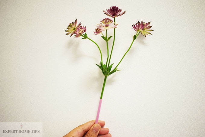 Straw around the bottom of a flower