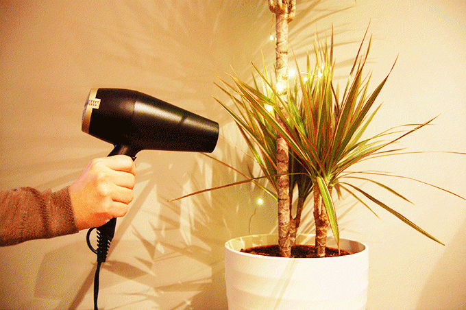 Clean artificial flowers with a hair dryer