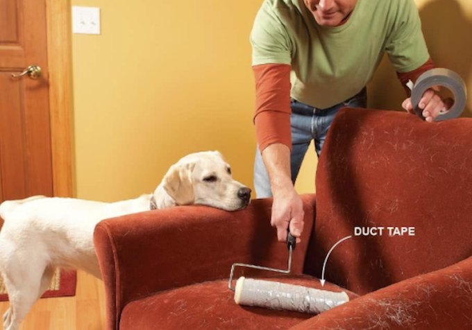 Man using paint roller to lift pet hair