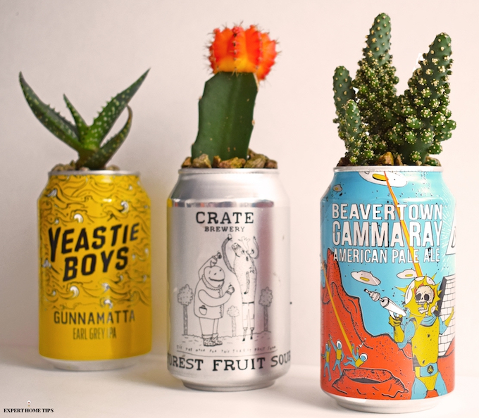 DIY cactus planters using cans