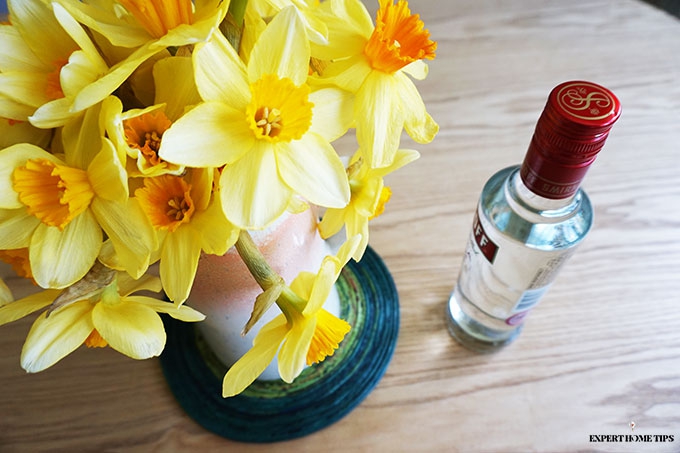 Vodka botle and yellow daffodils 