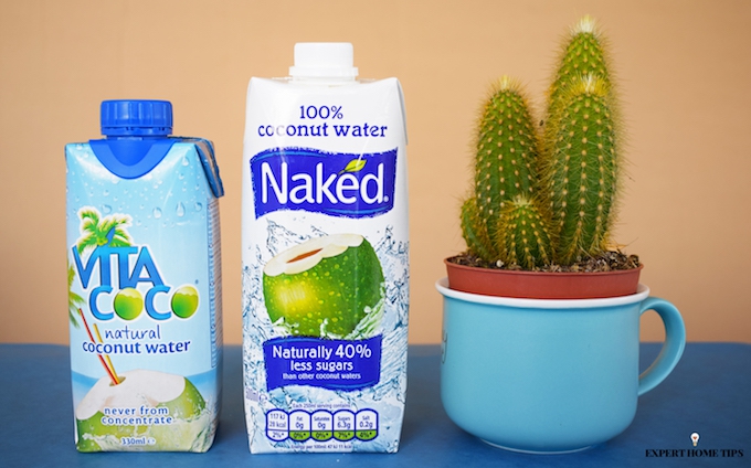 coconut water and cactus