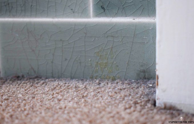 cover gaps to prevent ants in the home