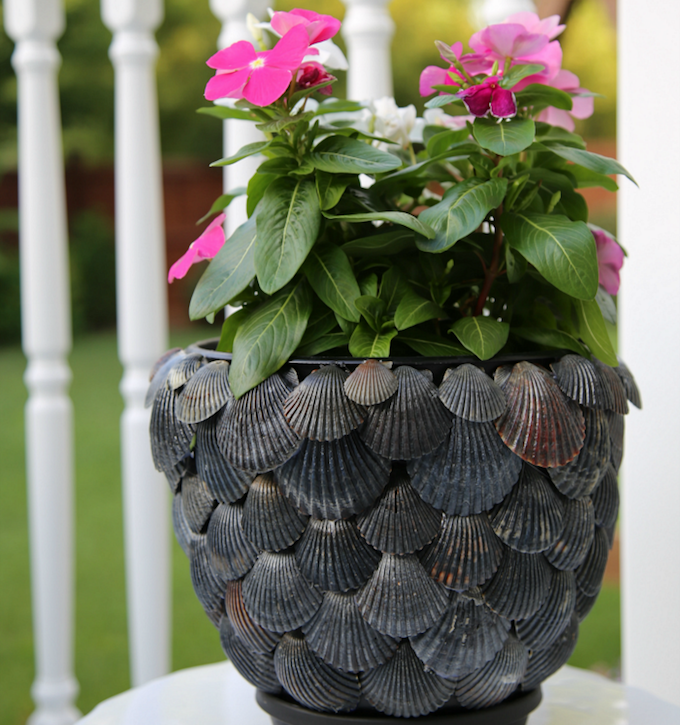 DIY Seashell planter