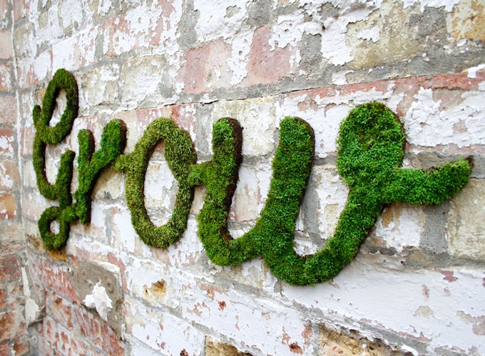 diy moss graffiti recipe