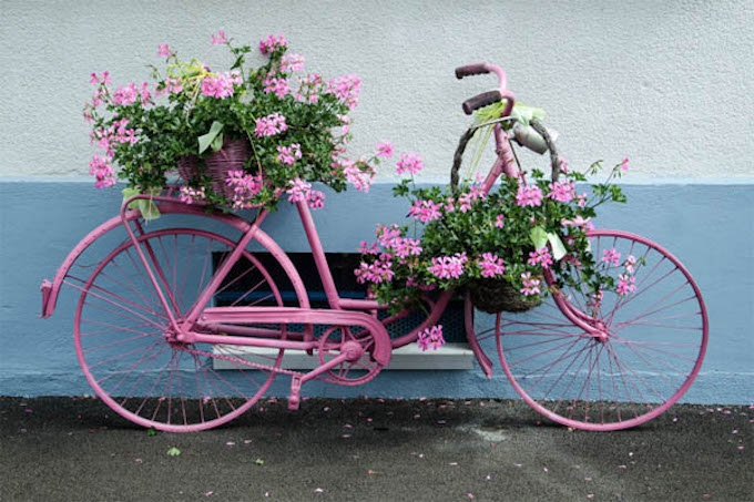 bicycle planter 