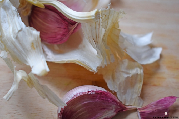 garlic is a natural ant repellent