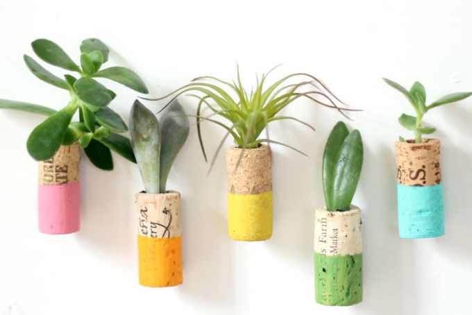 WIN CORK SUCCULENT PLANTERS