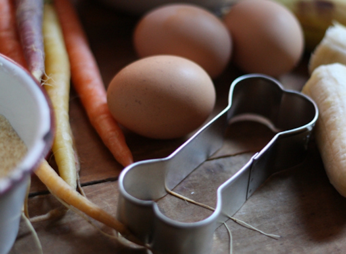 healthy dog treat recipe carrot banana