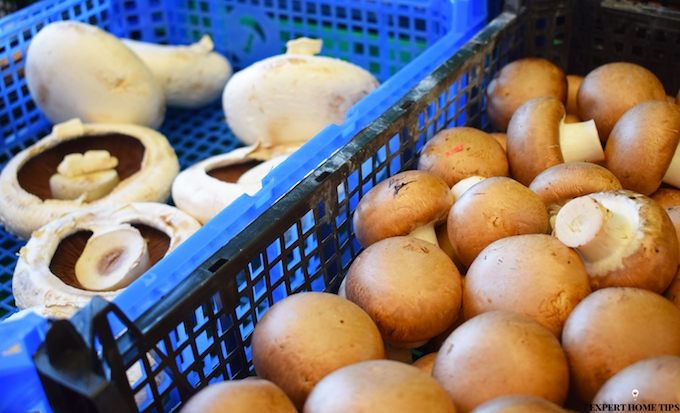 reheating food containing mushrooms