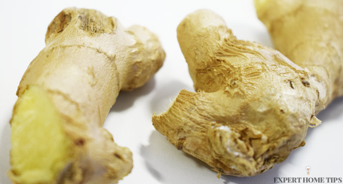 ginger root benefits