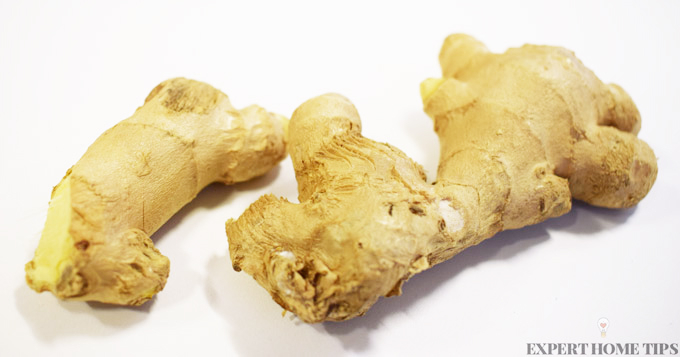 GINGER ROOT