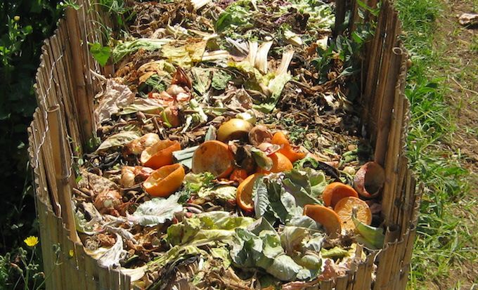 compost heap