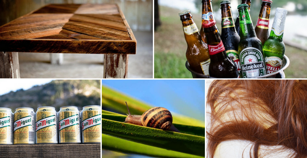 19 Alternative Uses For Beer (That Won't Get You Drunk!)