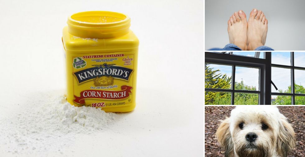 18 NEW uses for cornflour that are really quite remarkable!