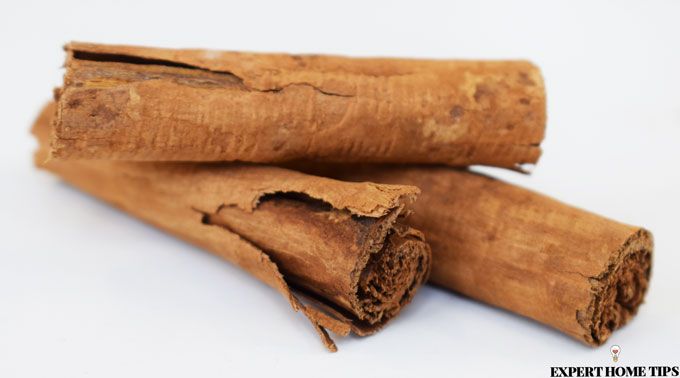 cinnamon sticks