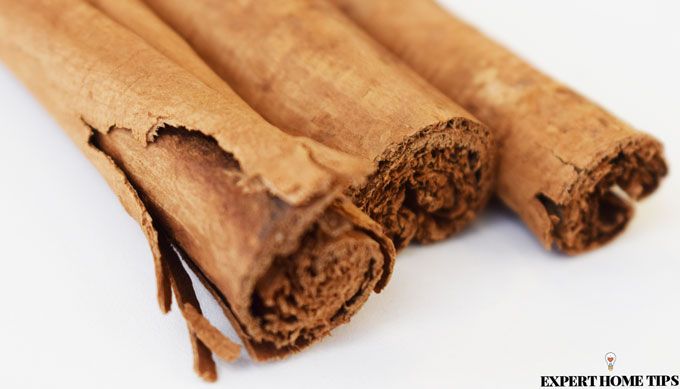 cinnamon health benefits