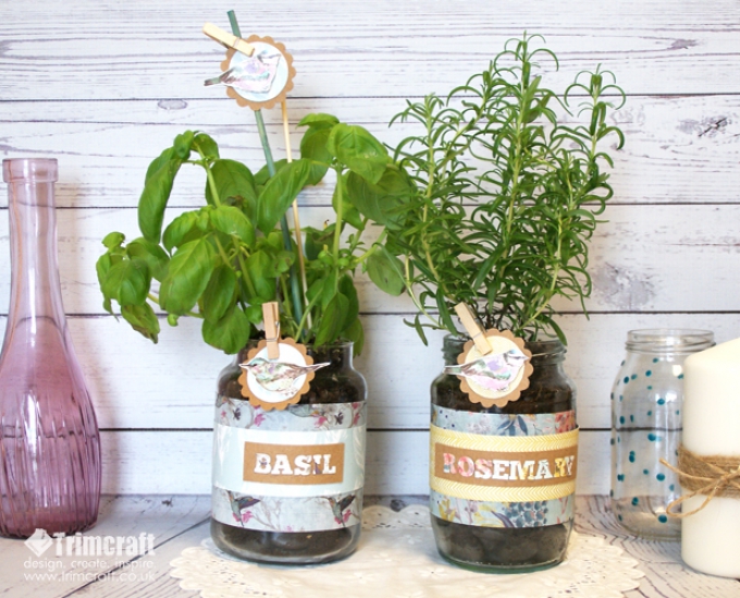 Grow something tasty in your jar.