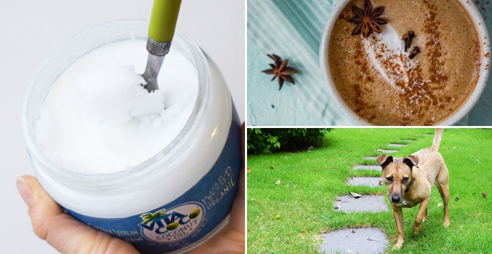 26 Clever Uses For Coconut Oil (That You've NEVER Heard Of Before!)