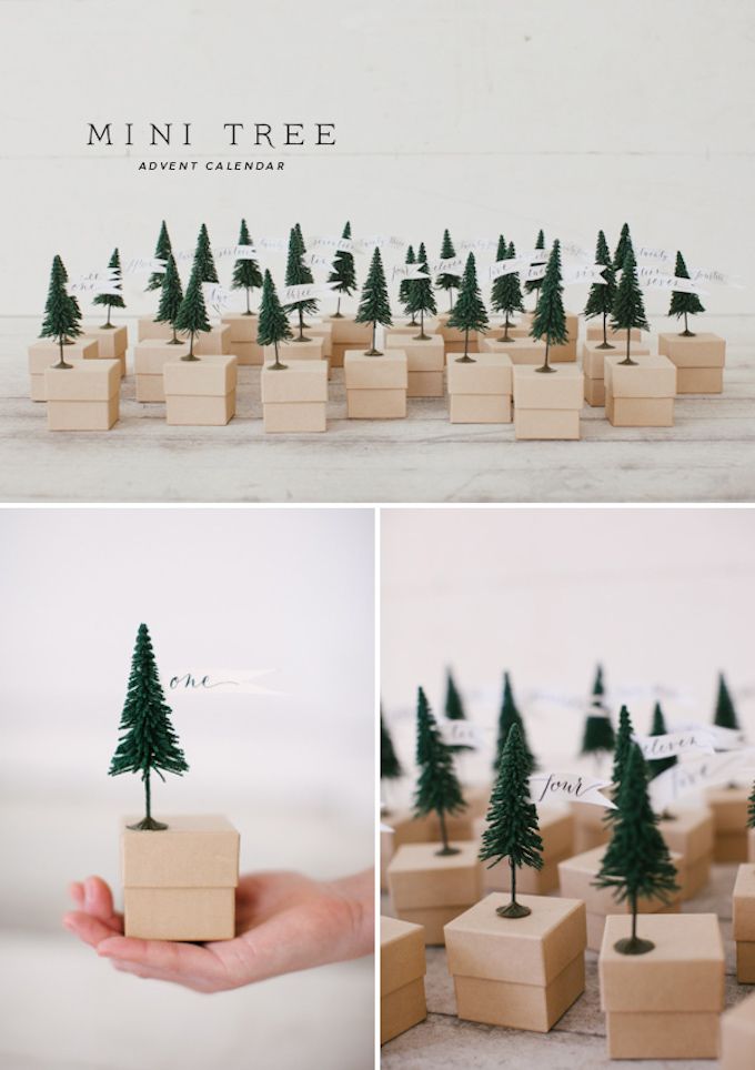 forest of trees advent