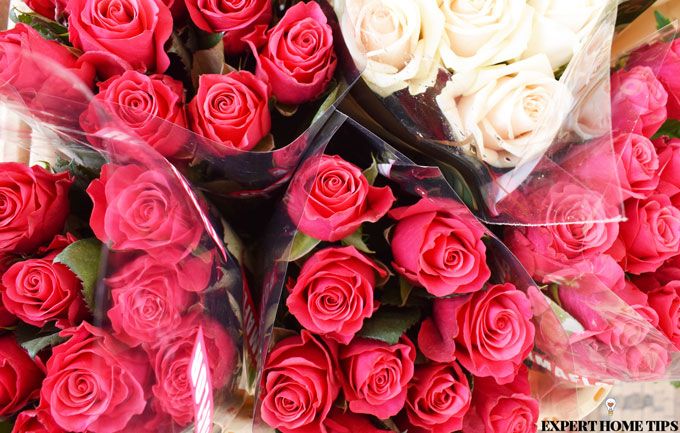 pink roses bouquet