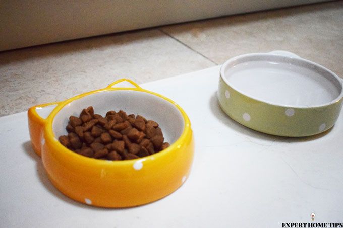 pet bowls on mat