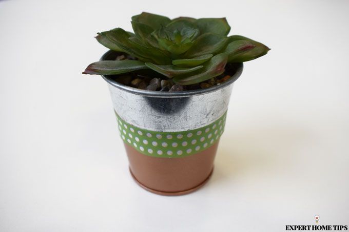 plant pot