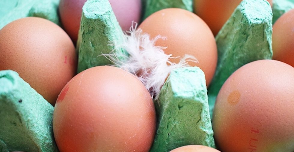 21 Uses For Eggshells That'll Really Surprise You