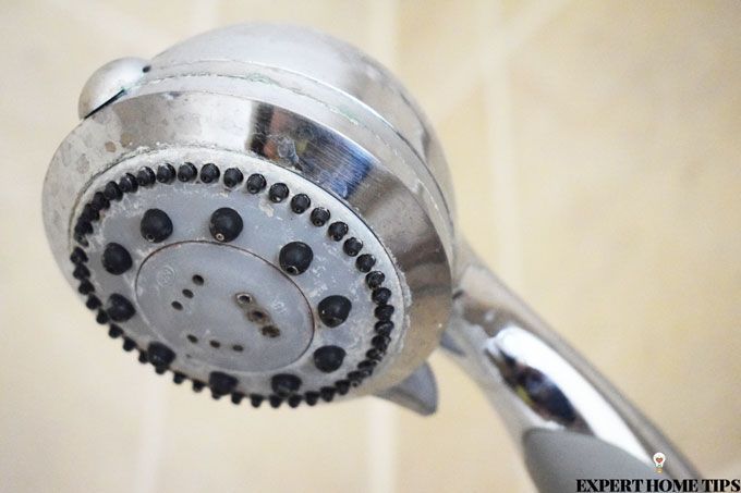 limescale shower head