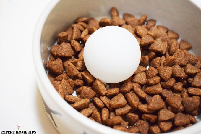 ball in dog bowl