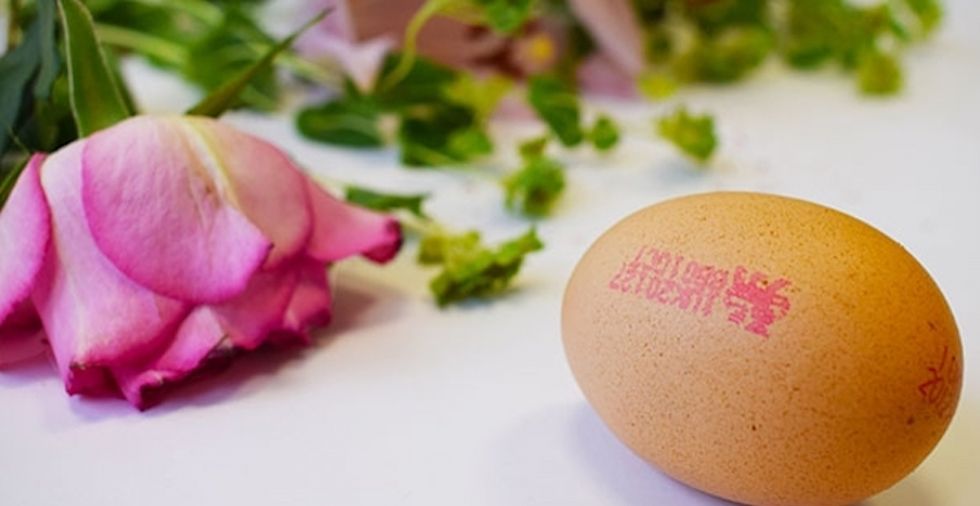 15 Astonishing Uses For Eggs That'll Blow Your Mind