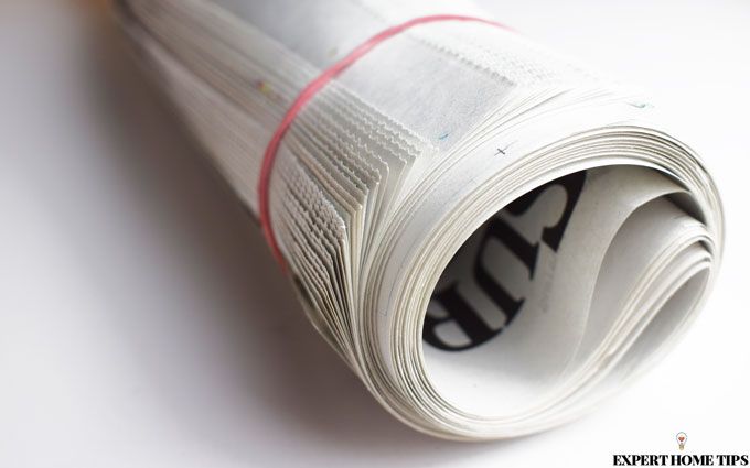 newspaper rolled up