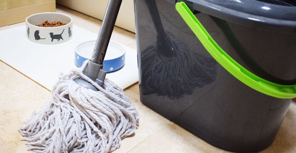 How To Make A Homemade Floor Cleaner (Great Results With Just 3 Ingredients!)