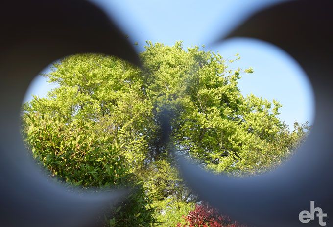 view through cardboard binoculars