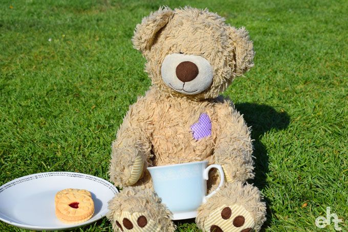 teddy bear picnic