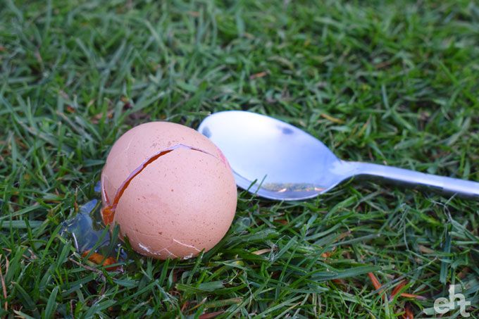 egg and spoon race cracked egg