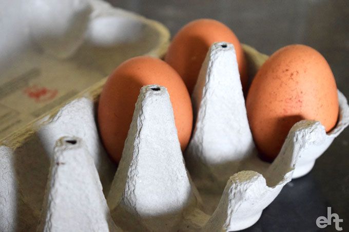 eggs in a carton